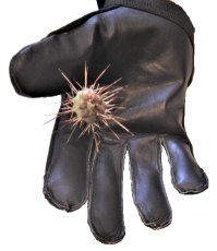 Naaldwerende cactus handschoenen