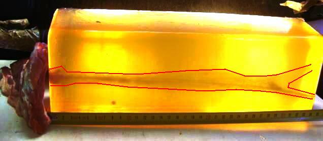 45c2fgelatrib1b